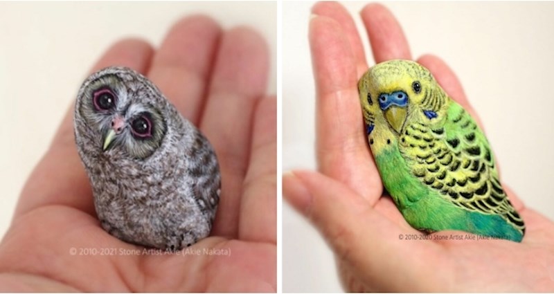 +30 nevjerojatno realističnih radova umjetnice koja crta na kamenju