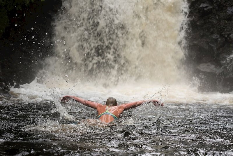 Cathy, 55, Samozaposlena