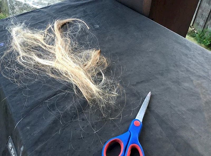 9. Kad se vaša četverogodišnja kćer odluči ošišati jedine riječi koje joj možete reći su: „ Narasti će natrag“.