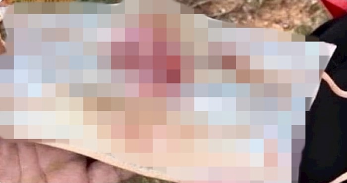 Nosi li netko od vaših ukućana ovakve maske za lice?
