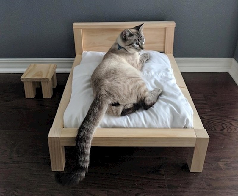 1. “Muž je rekao da će napraviti okvir za krevet. Ispada da je to bilo za mačku."