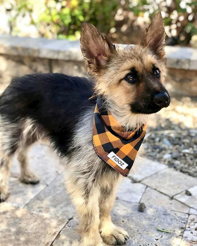 Nakon infekcije dijagnosticirana mu je poremećaj patuljastog rasta.