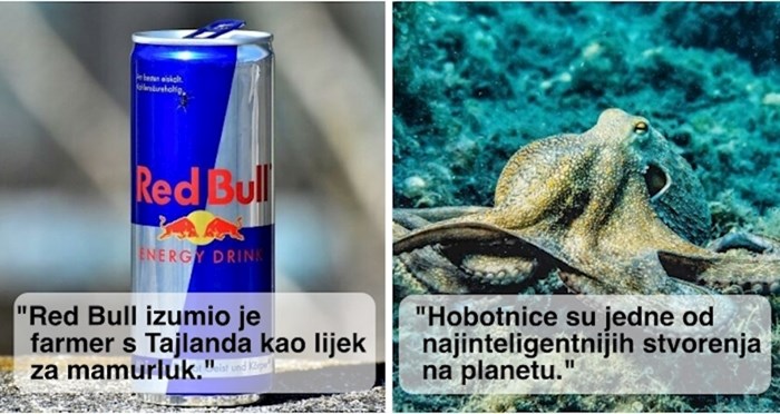 11 činjenica koje pokazuju da nikad nije kasno za naučiti nešto novo