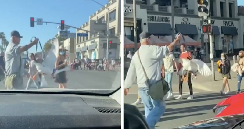 VIDEO Čovjek je prošetao gusku, a način na koji je to učinio nasmijao je cijeli internet