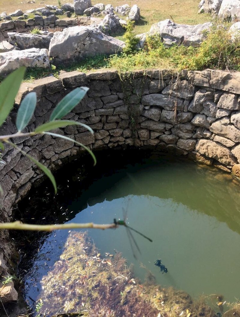 Danas kada skoro svi stanovnici žive u gradovima, eko sustav neometano buja životom.