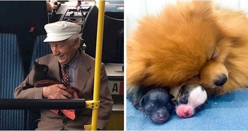 14 fotografija koje bez puno priče opisuju kako izgleda ljubav