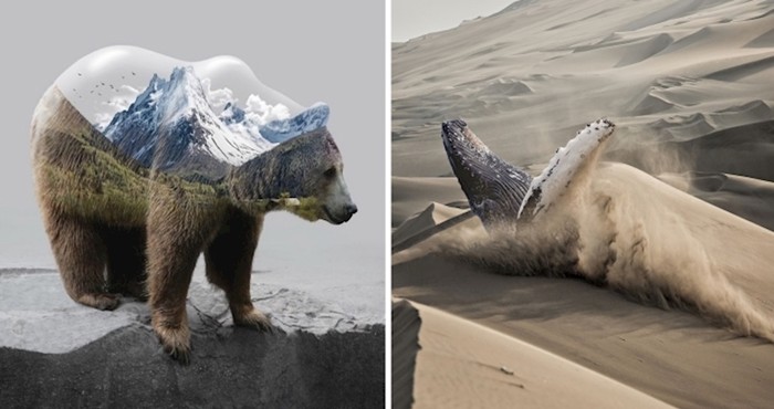 20 impresivnih slika životinja transformiranih pomoću Photoshopa