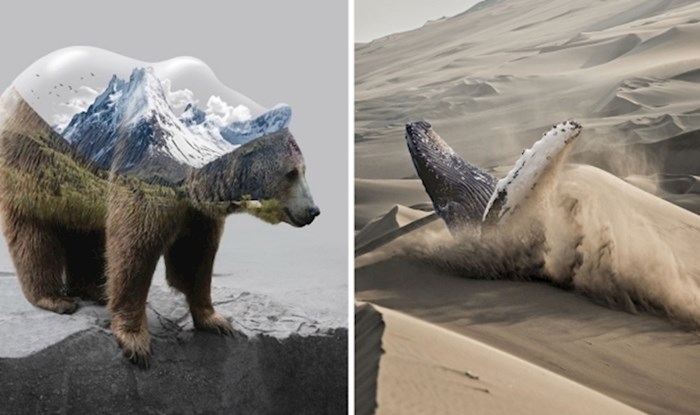 20 impresivnih slika životinja transformiranih pomoću Photoshopa