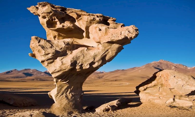 #11 Árbol de Piedra, Bolivija.