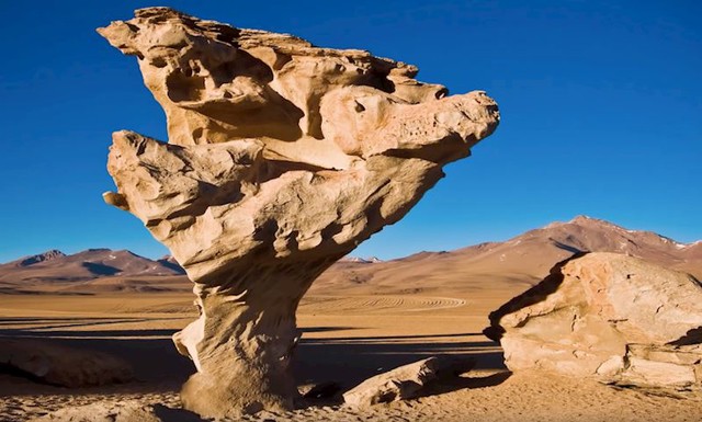 #11 Árbol de Piedra, Bolivija.