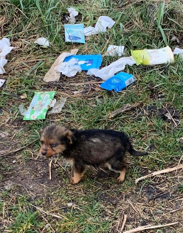 "Bačen je poput smeća i izgledao je jako bolestan."