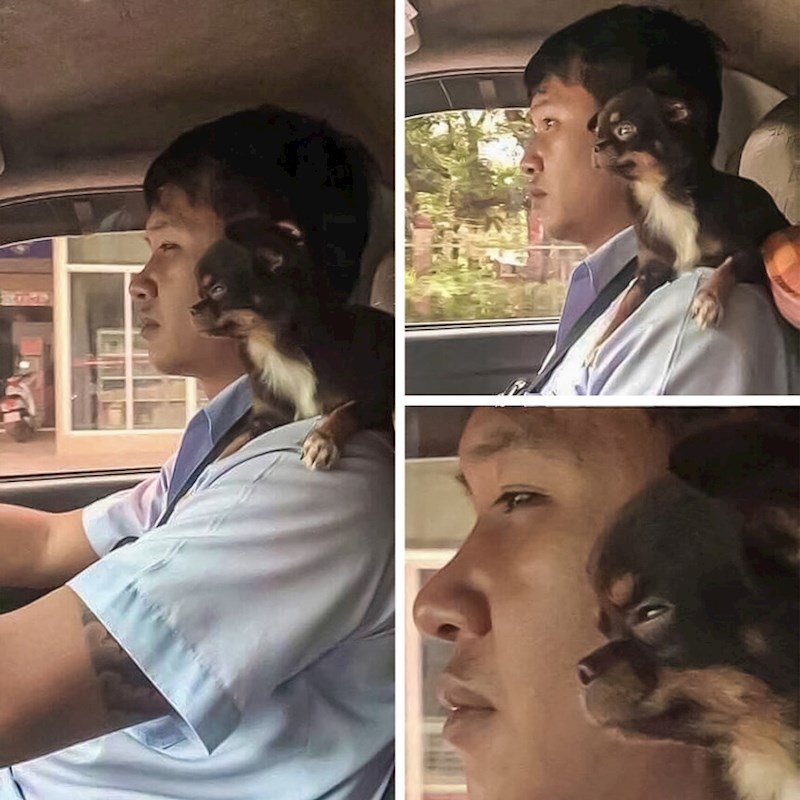 #10 Prijatelj na svakom kilometru.