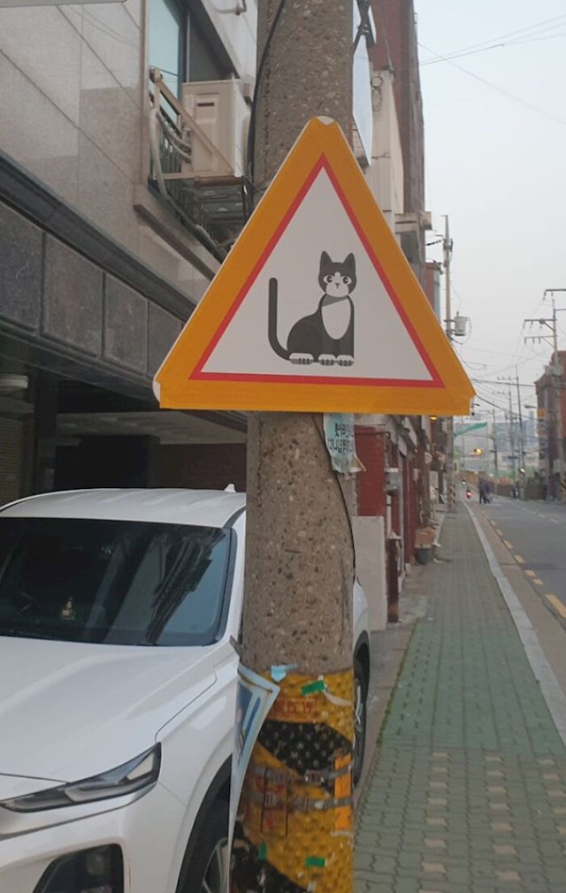 Ovaj znak nije za prelazak mačke. Znači "Oprez: Mačka je u blizini"