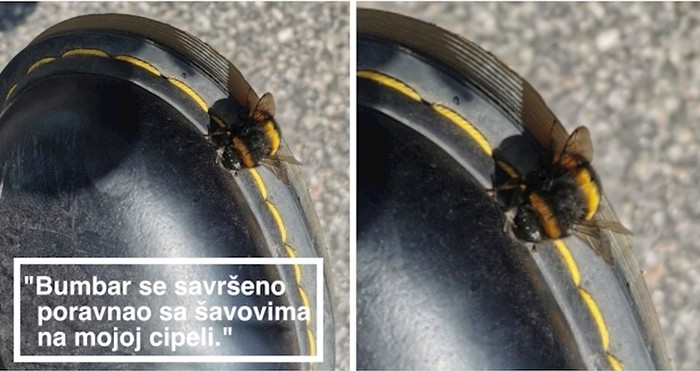 14 fotki u kojima će najviše uživati perfekcionisti