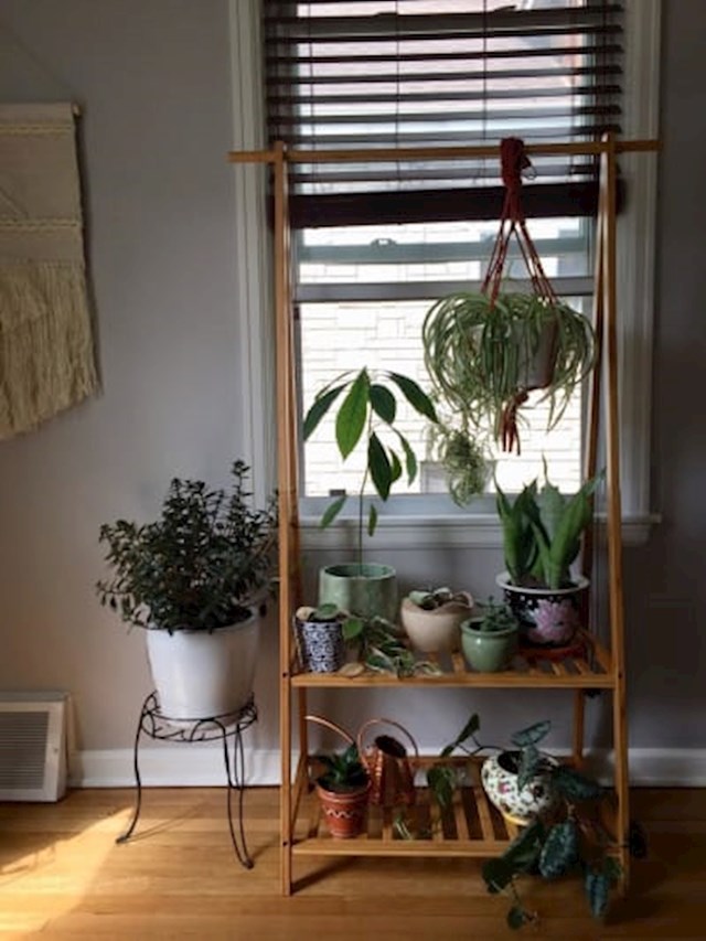 Drveni stalak za odjeću možete prenamijeniti u stalažu za biljke.