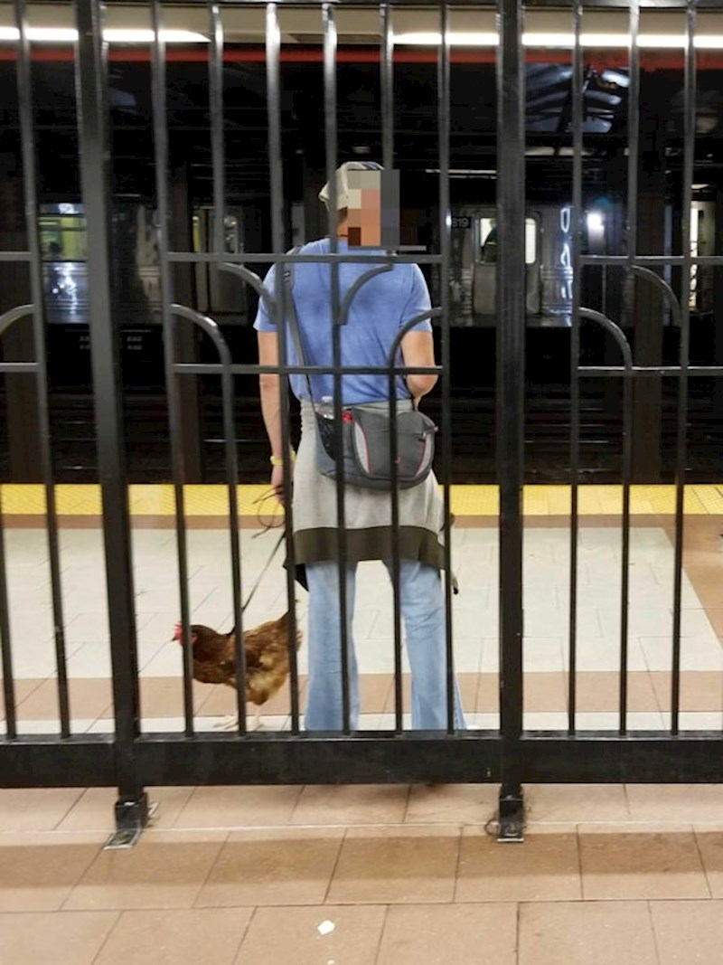 Mislimo da je ovo najčudniji putnik ove podzemne željeznice. :)