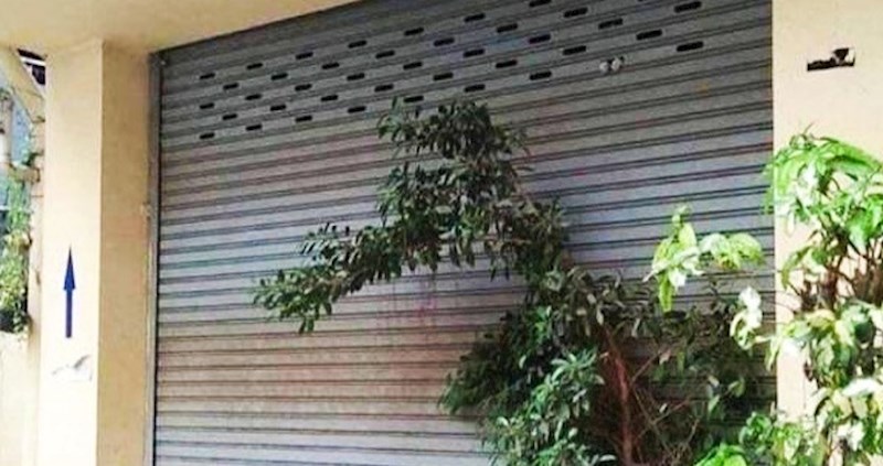 Na ovoj fotografiji krije se vjerni čuvar, možete li ga pronaći?