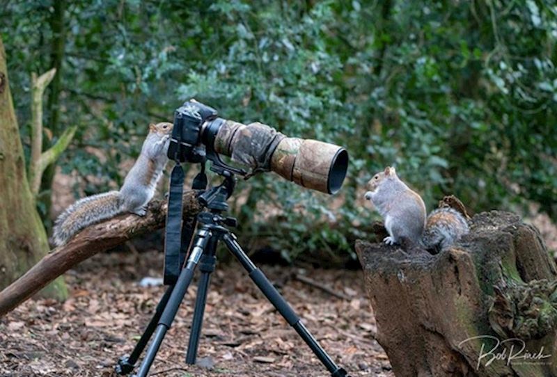 7. Oni su željni napraviti savršenu fotografiju za svoj Instagram račun.
