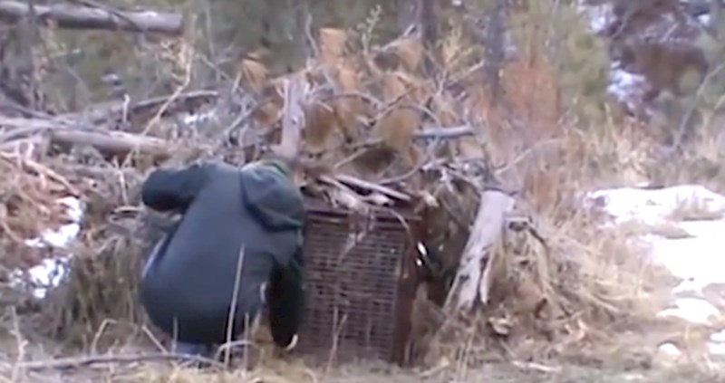 VIDEO Zamke za životinje okrutna su stvar, pogledajte tko je zalutao u ovu