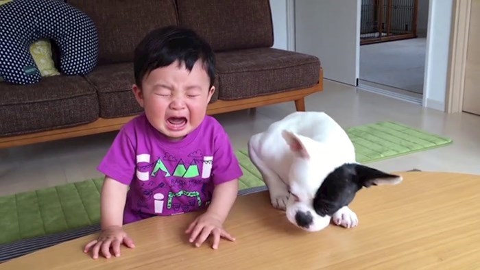 VIDEO Iako ga je rasplakao, pas je smislio genijalan način kako će ga smiriti