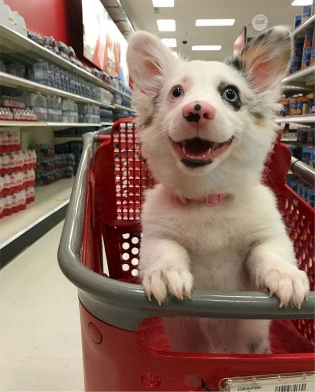 “Kad si prvi put u supermarketu!”