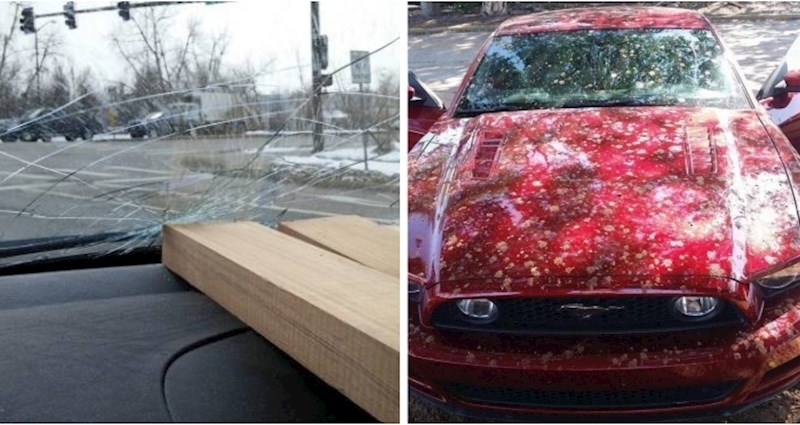 16 ljudi koji očito nisu imali dan kakav su zamislili