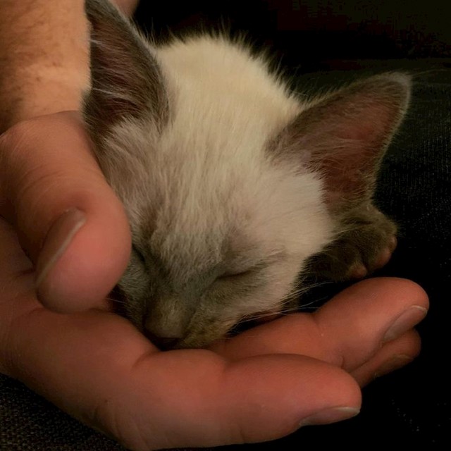 #3