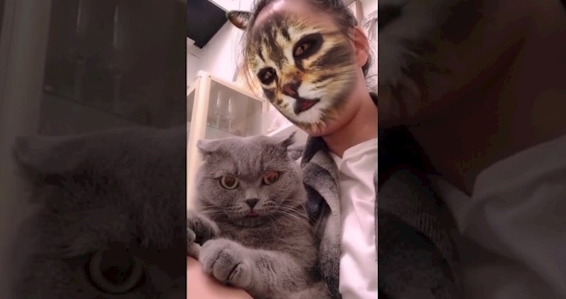 VIDEO Zbunjene mačke i urnebesne reakcije na filtere za lice njihovih vlasnika