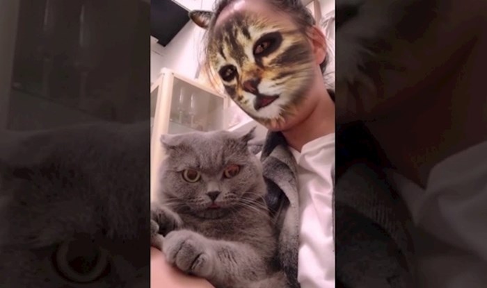 VIDEO Zbunjene mačke i urnebesne reakcije na filtere za lice njihovih vlasnika