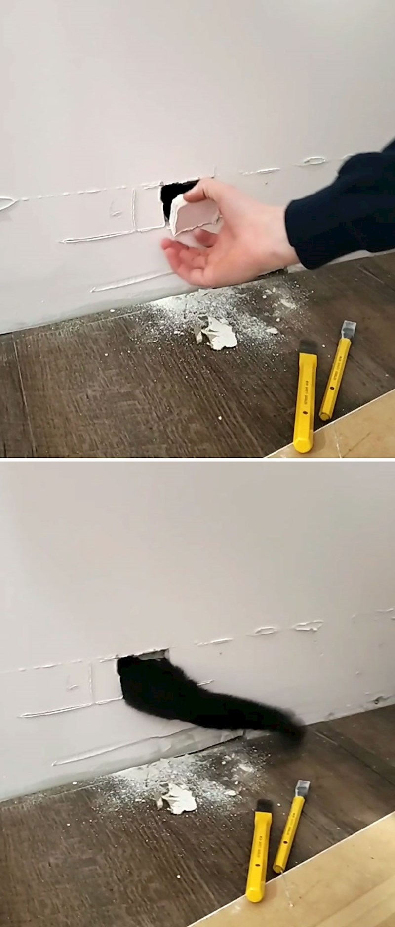 4. "Moj se mačak zaglavio u zidu na Božić"