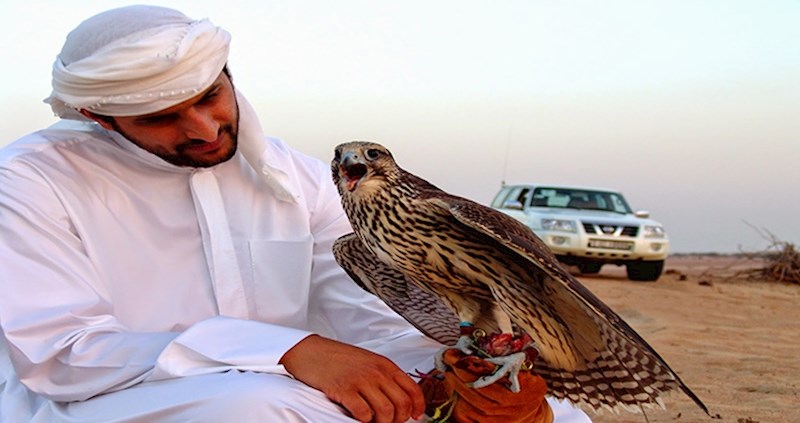 Ovaj princ kupio je 80 avionskih karti za svoje sokole