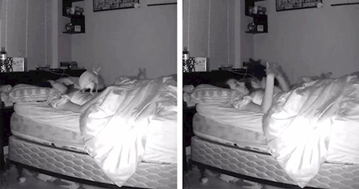 VIDEO Dok je spavala došao je njen pas i učinio nešto što nikad neće zaboraviti