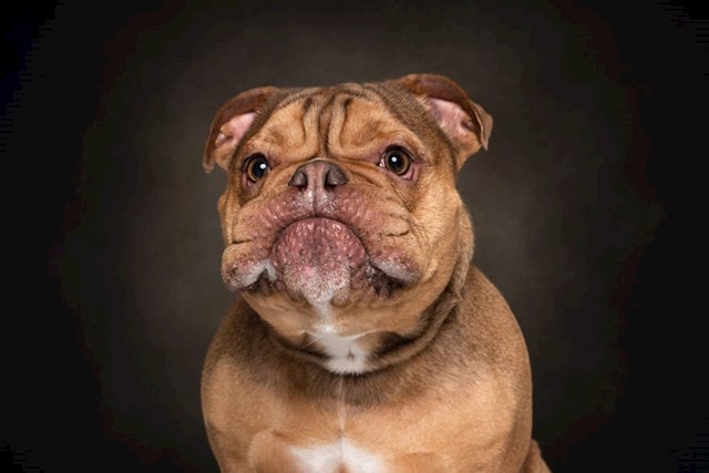 #14 Rupert