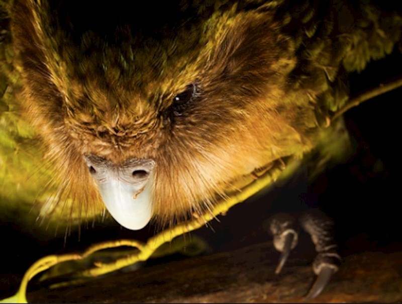 3. Žive gotovo 90 godina!