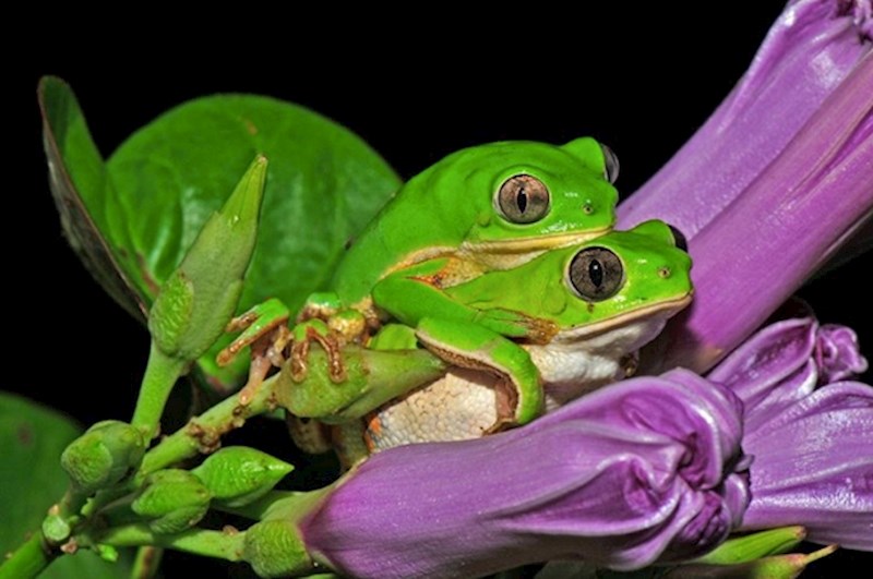 11. Vole se grliti s voljenima.