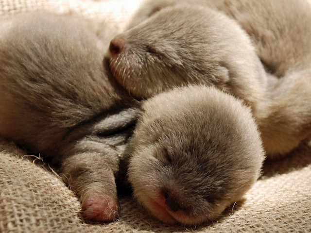 #6