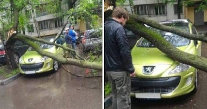 Morate vidjeti koliko vlasnik ovog automobila zapravo ima sreće