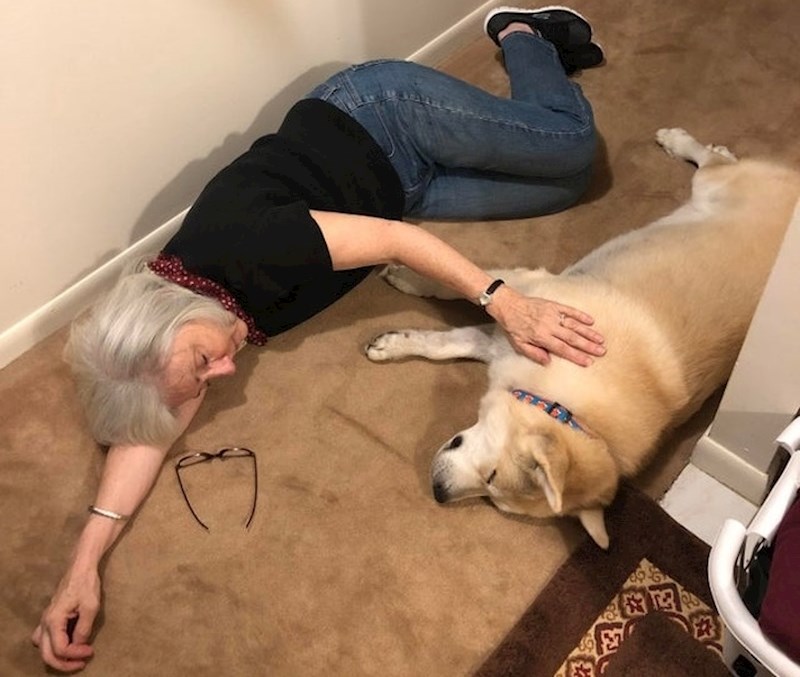 #15 "Jučer smo usvojili starijeg psa po imenu Mikey i mislim da možemo reći da je njegovo prvo putovanje kod bake prošlo dobro."