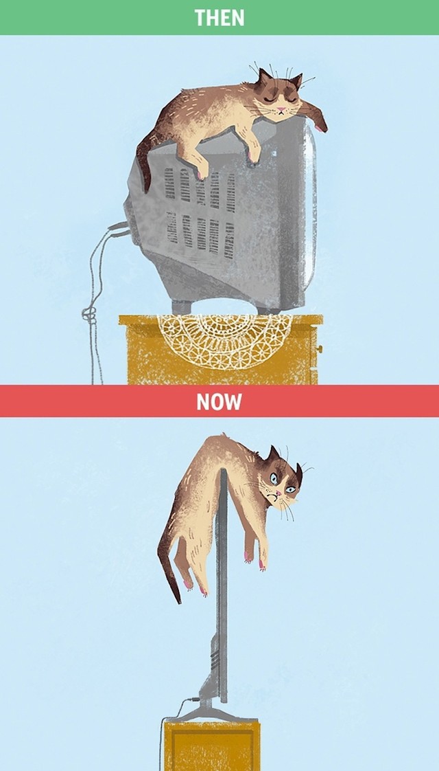 Kladimo se da mačkama tanji televizori i nisu nešto..