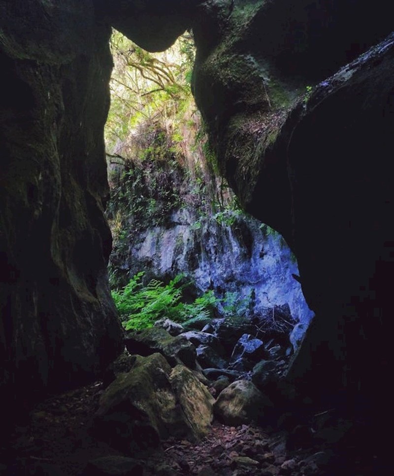 1. "Obris stijene koja izgleda kao mačka"