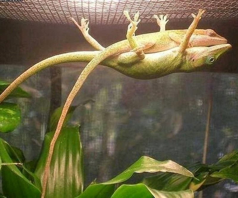 14. Uvijek su spremni podržati jedni druge u teškoj situaciji.