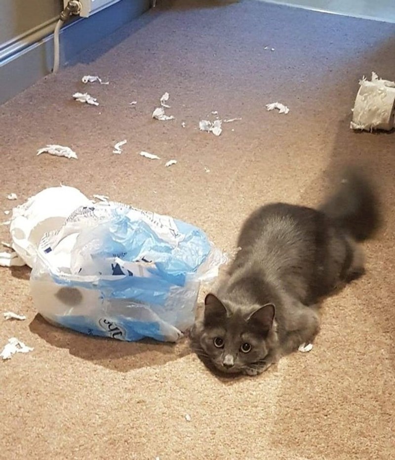 “Kako si mogao biti ljut na nju s takvim očima.”