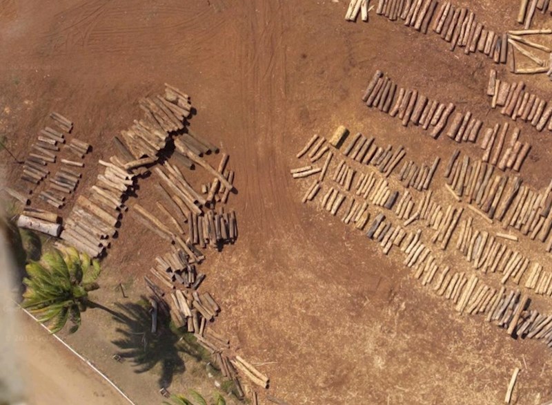 #3 Ti naizgled sitni štapići nekada su bili šuma.