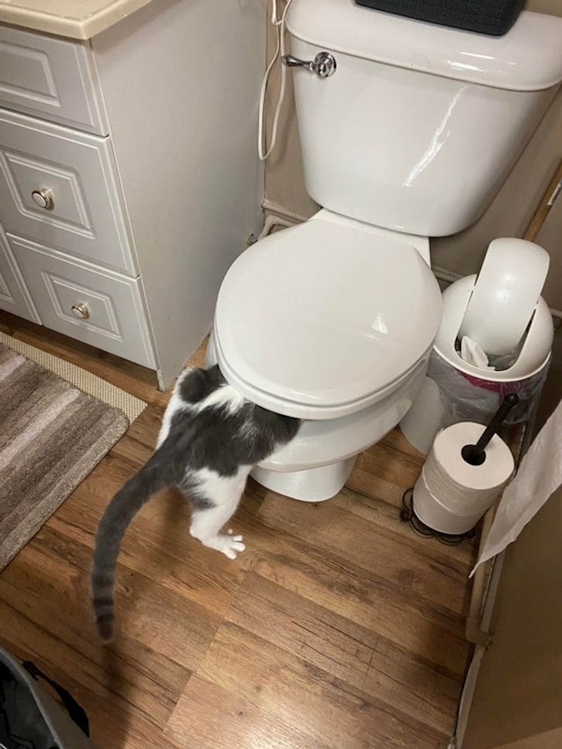 “ i našao ovo!”