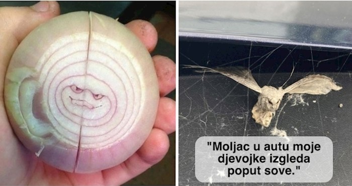 15+ fotki koje su pravi dokaz da slučajna umjetnost stvarno postoji