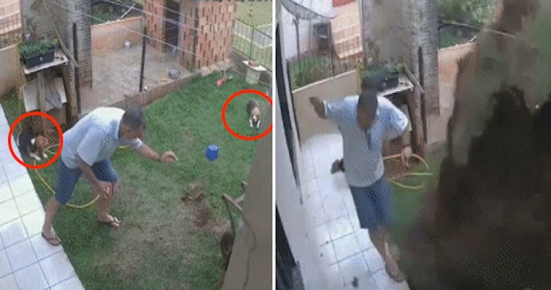 Ovaj čovjek i njegovi psi skoro su dobili ozbiljne ozlijede od eksplozije u dvorištu