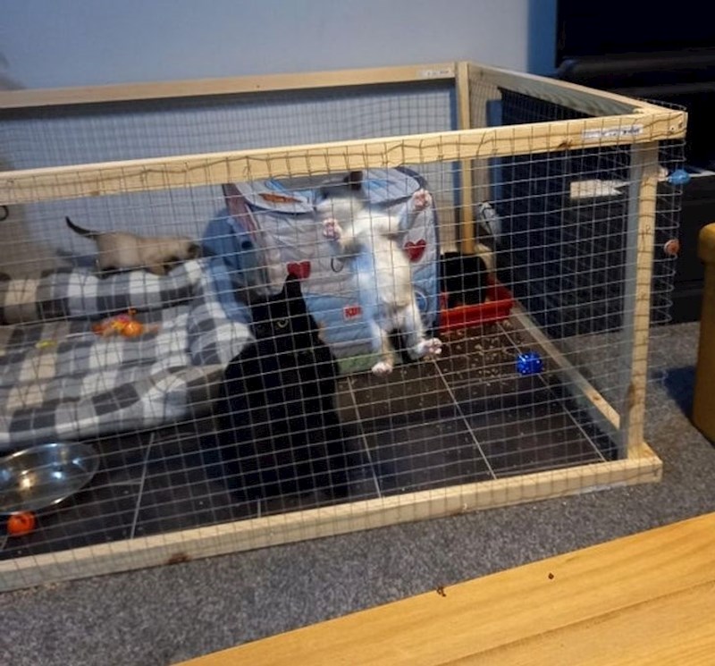 “Slatki okus slobode sve je bliže.”