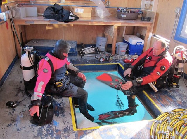 #7 Istraživači često odlaze na ronjenje kako bi proučavali,a za ronjenje se mogu prijaviti i turisti.