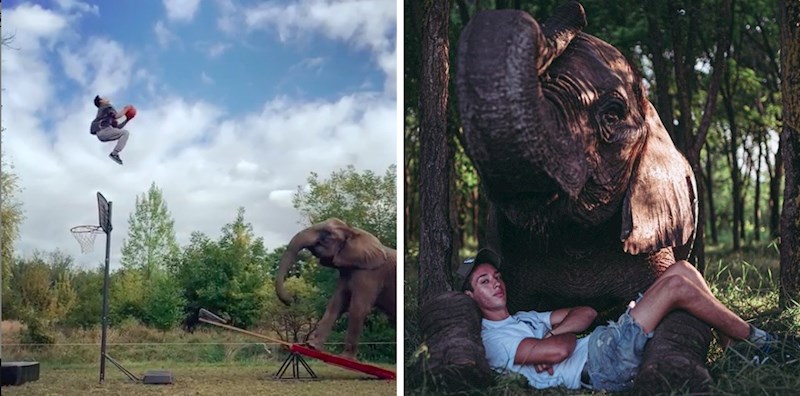 Oni su akrobati i nerazdvojni prijatelji