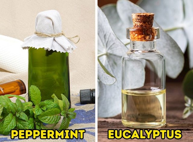 7. Inhalirajte specifična eterična ulja.
